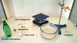 Vidéo d'expérience : Extraction et identification d'un gaz présent dans une boisson gazeuse